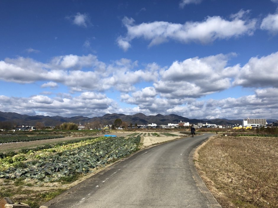 京都市内から自転車で木津川まで