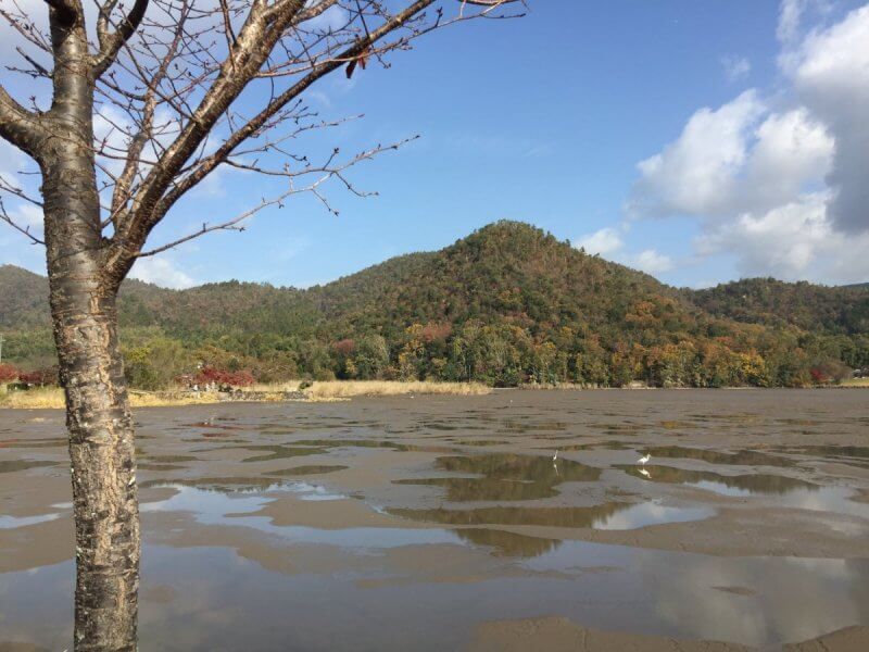 水のない池：広沢池  レンタサイクル京都ecoトリップ