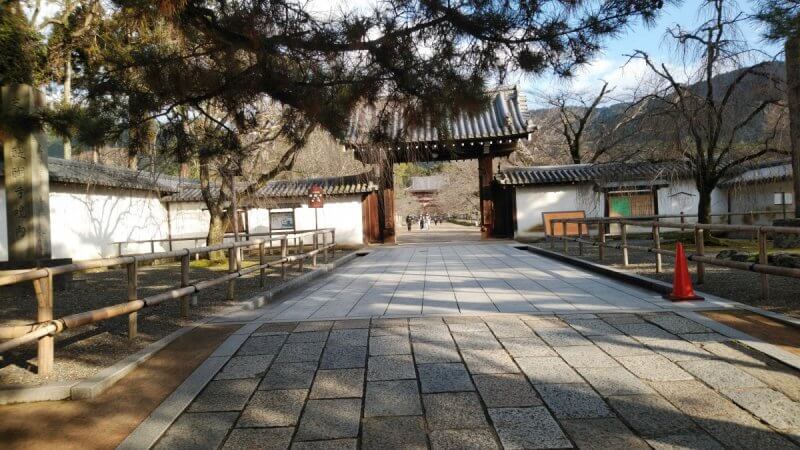 圧巻 醍醐寺の五重塔 レンタサイクル京都ecoトリップ