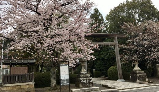 桜も楽しめるパワースポット：太秦 蚕ノ社（木嶋神社）