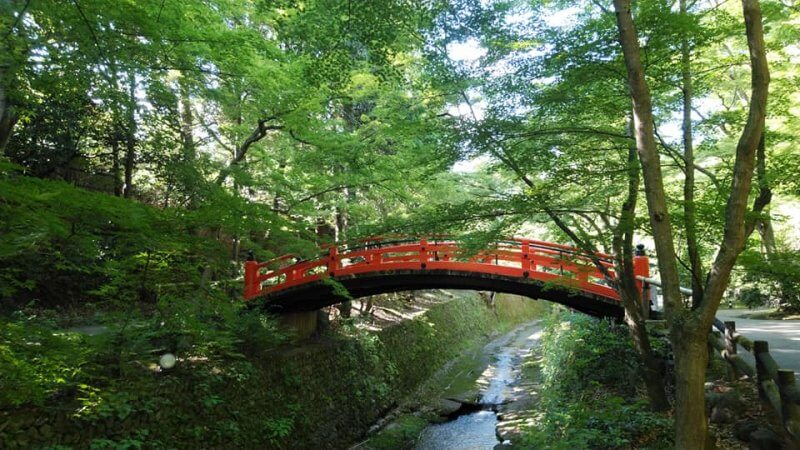 私の好きな京都の「緑」：北野天満宮の御土居 | レンタサイクル