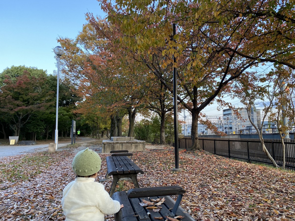 梅小路公園 紅葉と電車を楽しめる レンタサイクル京都ecoトリップ