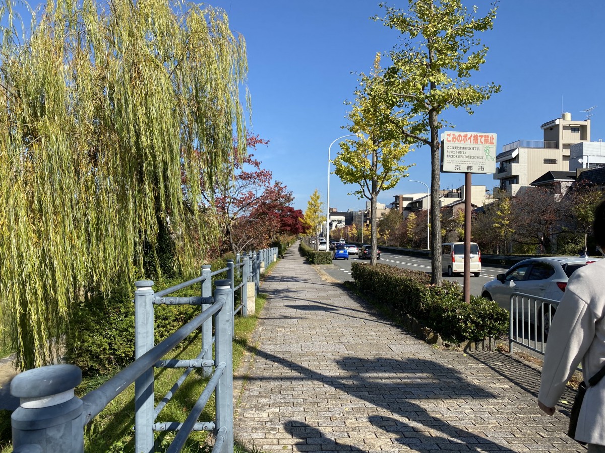南北移動は秋色に染まった鴨川沿いがおすすめです レンタサイクル京都ecoトリップ