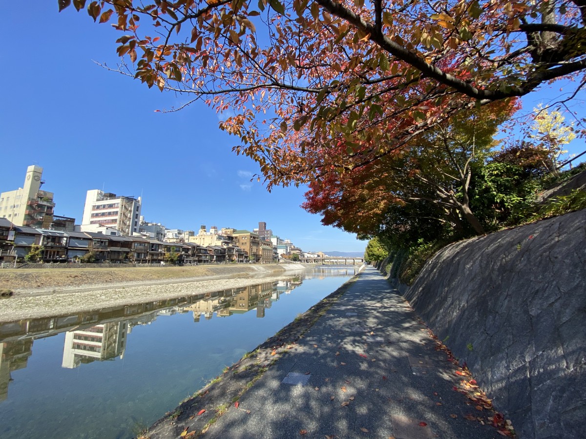 南北移動は秋色に染まった鴨川沿いがおすすめです レンタサイクル京都ecoトリップ