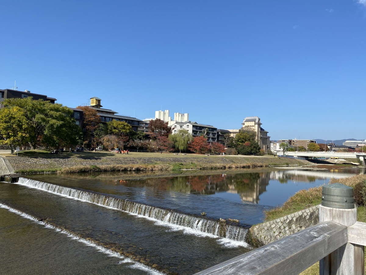 南北移動は秋色に染まった鴨川沿いがおすすめです レンタサイクル京都ecoトリップ