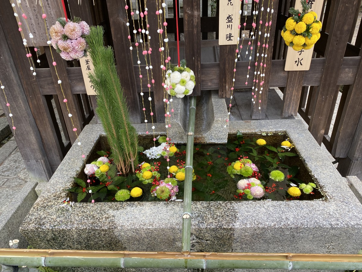 今宮神社で初詣 今しか見れない花手水 レンタサイクル京都ecoトリップ