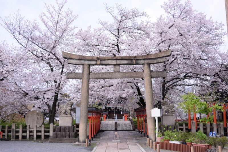 京都古寺散策 京都 閑静な西京エリアで古寺散策と紅葉散歩 | とっておきの京都